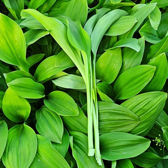 이미지 상세보기