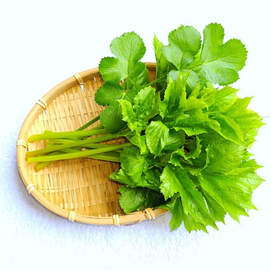 이미지 상세보기